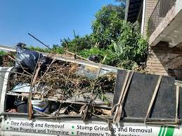 Best Scrap Metal Removal  in Albion, IN